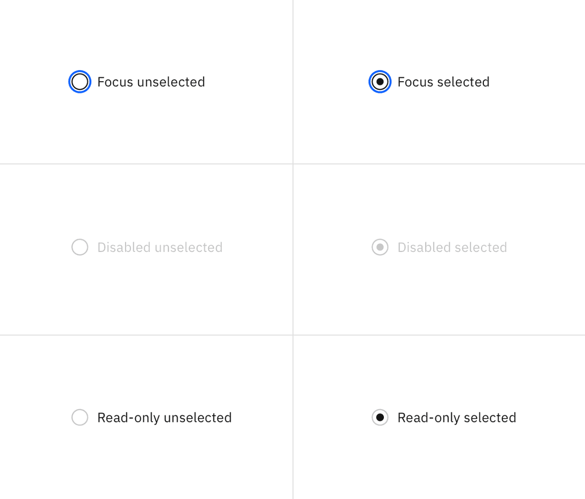 Examples of focus, disabled, and read-only states